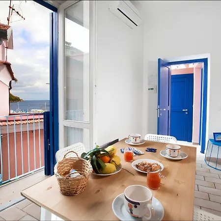 Dragonfly Península Sorrentina